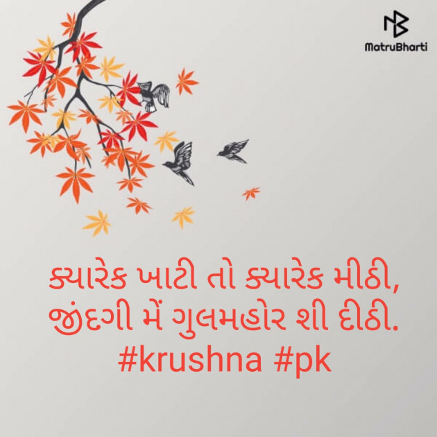 Gujarati Poem by Krushnasinh M Parmar : 111210307