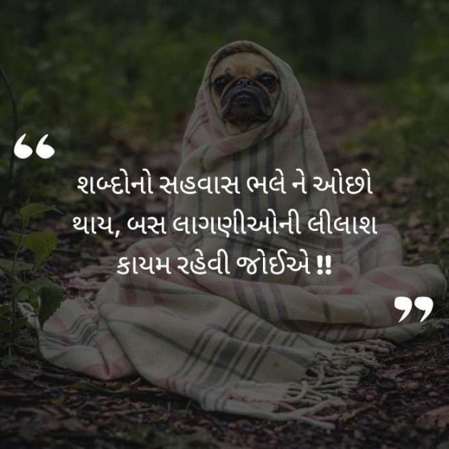 Gujarati Quotes by Meena Parmar : 111210831