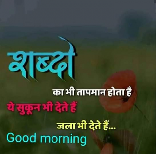 Hindi Whatsapp-Status by Kalpana : 111211309