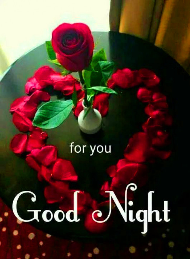 Hindi Good Night by Vaghela Niya : 111211564