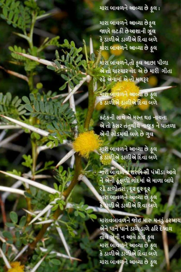 Gujarati Poem by Rinku Panchal : 111211715