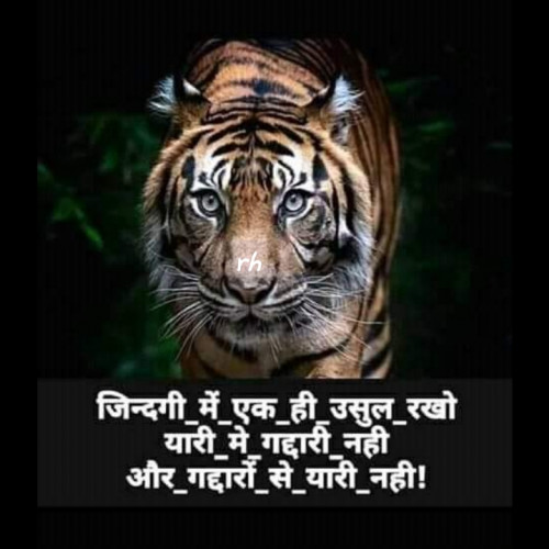 Post by RAJESH HARDE on 05-Jul-2019 10:38pm