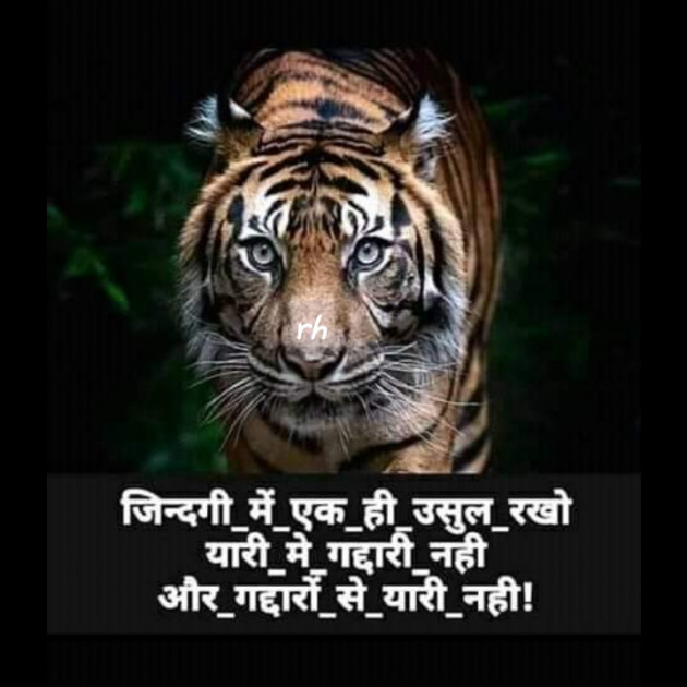 Gujarati Quotes by RAJESH HARDE : 111211718