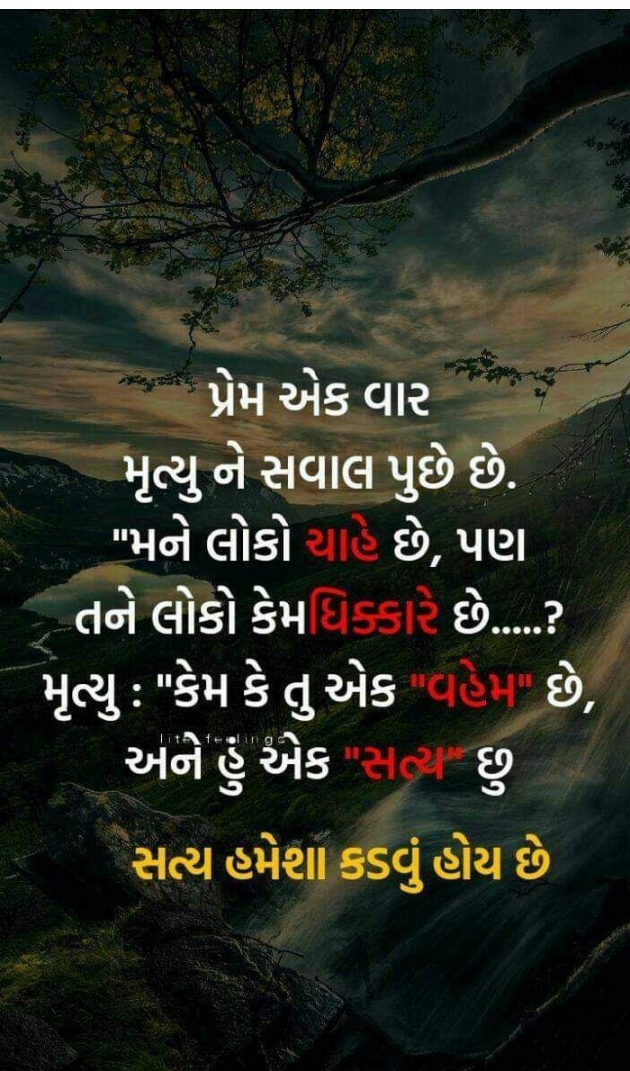 Gujarati Funny by પ્રેમ નો જોકર : 111211811