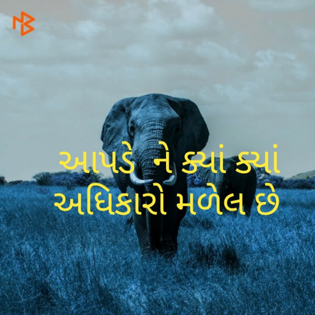 Gujarati Microfiction by પ્રેમ નો જોકર : 111211892