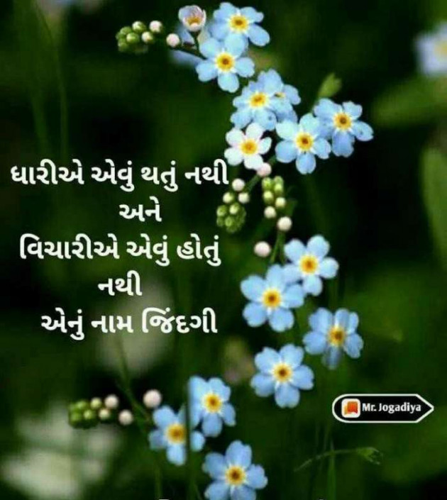 Gujarati Whatsapp-Status by sikandar : 111212019