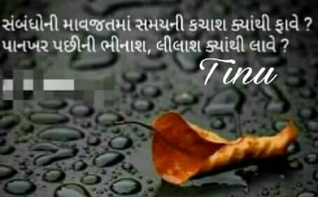 Gujarati Blog by Tinu : 111212297