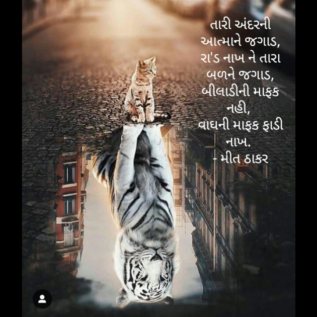 Gujarati Thought by Mahi Nikunj Raval【મીત】 : 111213025