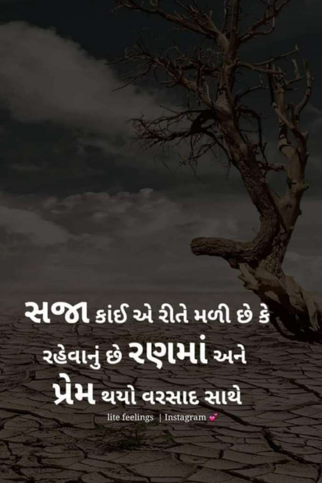 Gujarati Good Evening by Ashish Rana : 111213269