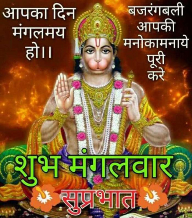 Hindi Quotes by Sawar Mal Patwari : 111213479