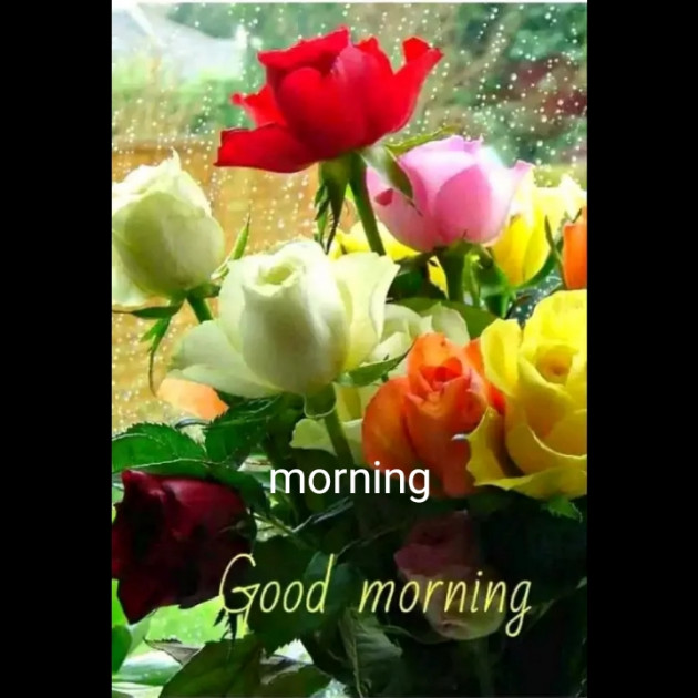 English Good Morning by Aastha Goswami : 111213562