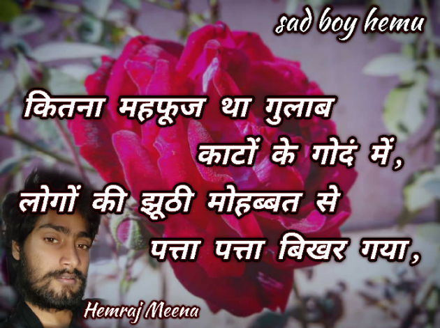 Hindi Shayri by Hemraj Meena : 111213624