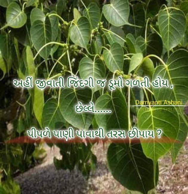 Gujarati Good Evening by Damyanti Ashani : 111214431