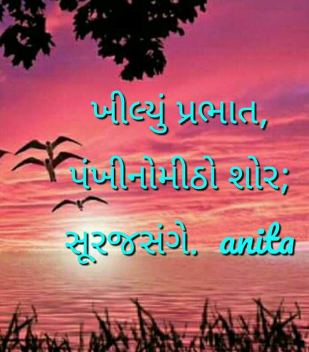 Gujarati Poem by Nai Anita : 111214530