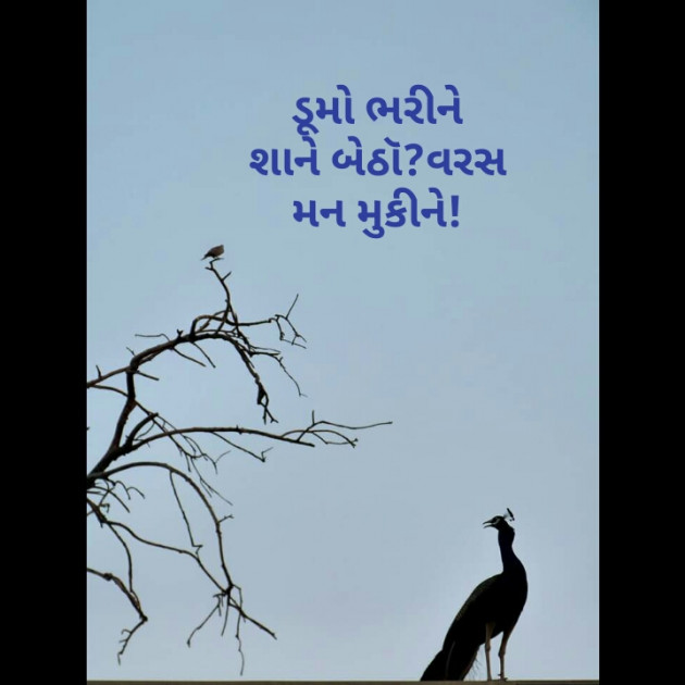 Gujarati Hiku by Kinar Rana : 111214725