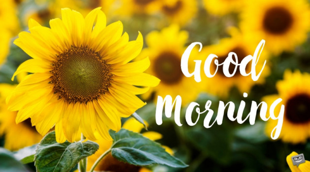 Hindi Good Morning by Vaghela Niya : 111214749