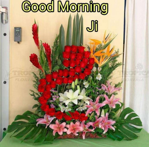 Hindi Good Morning by Vaghela Niya : 111214752