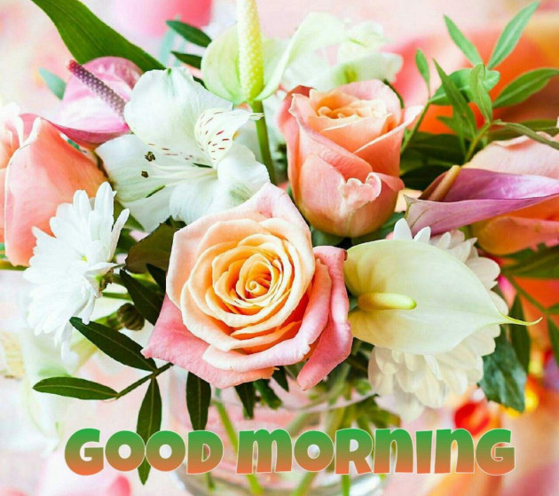 Hindi Good Morning by Vaghela Niya : 111214760