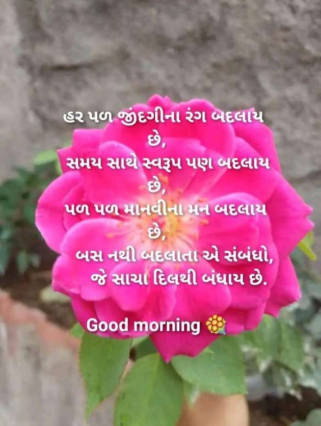 Gujarati Quotes by Sanju Parmar : 111214912