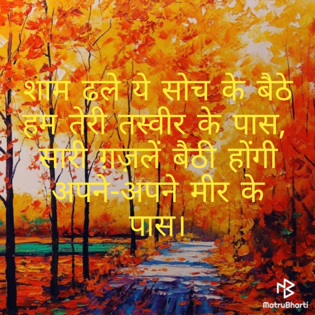 English Shayri by Sajju Khan : 111215471