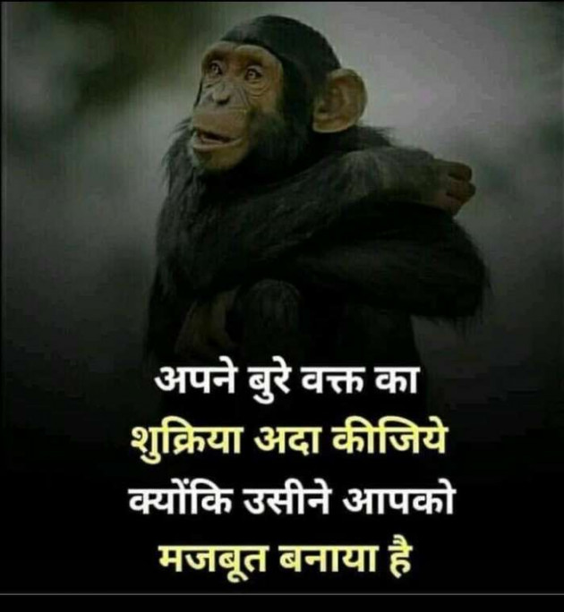 Gujarati Whatsapp-Status by sikandar : 111215482