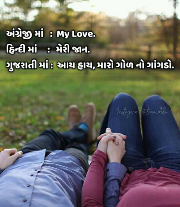 Gujarati Funny by Jainish Dudhat JD : 111216074