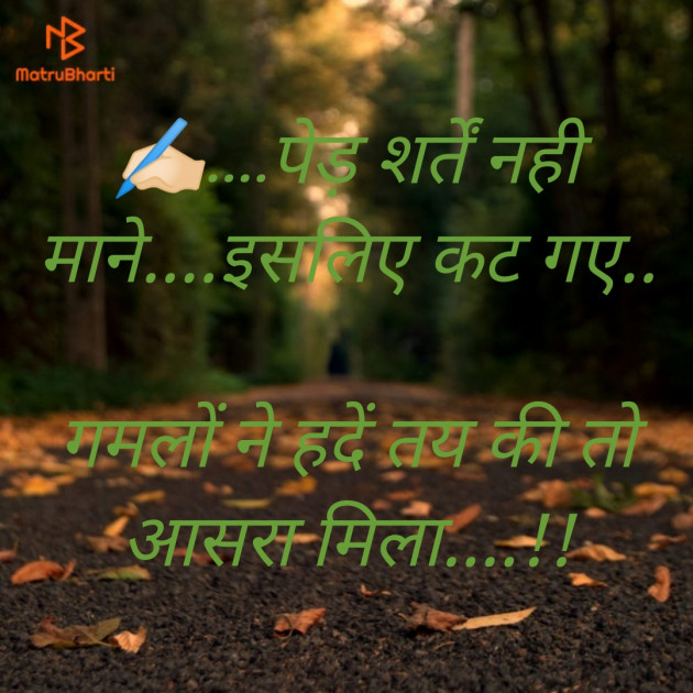 English Shayri by Kushwaha Arush : 111216893