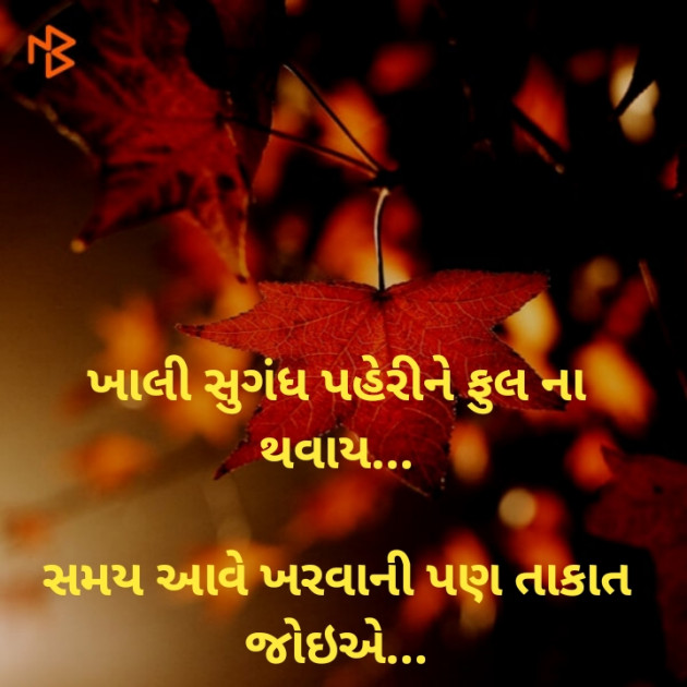 Gujarati Thought by Dharmesh Vala : 111216965