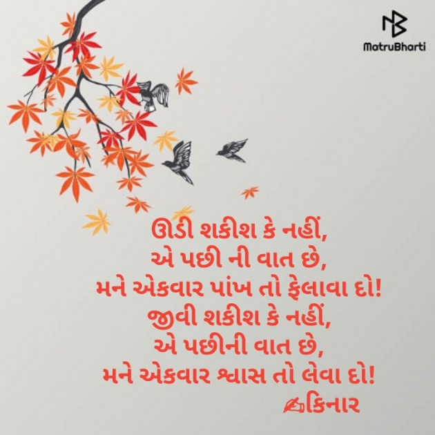 Gujarati Thought by Kinar Rana : 111217256