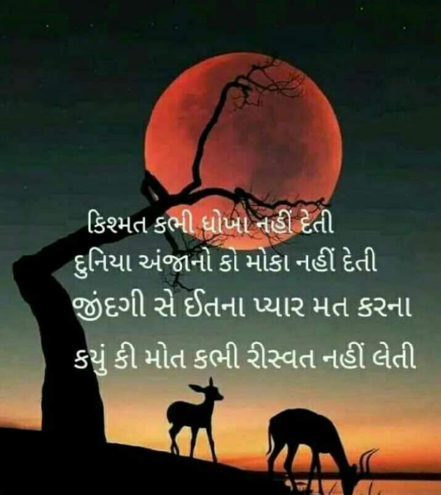 Gujarati Good Morning by Bhakti Nanda : 111217324
