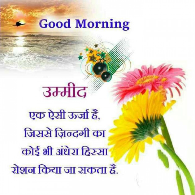 Hindi Good Morning by Jassi Albert : 111217337