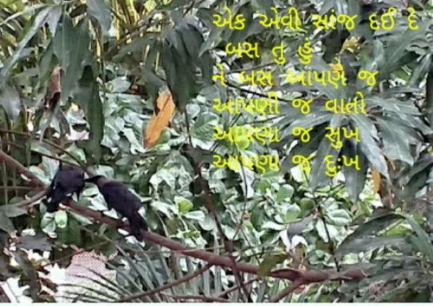 Gujarati Thought by Aarti Joshi : 111217441