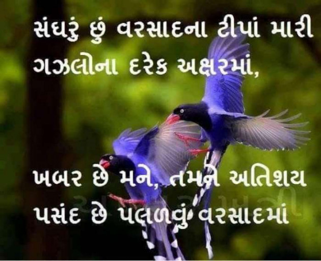 Gujarati Quotes by Mukesh Shah : 111217799