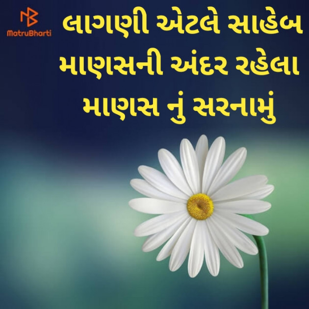 Gujarati Good Night by Dharmesh Vala : 111218362