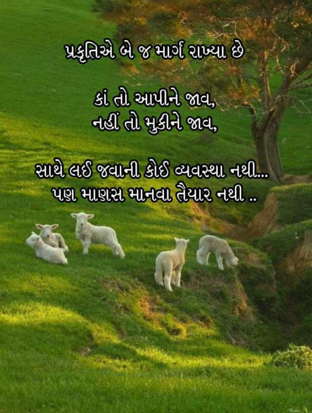 Gujarati Good Morning by Mukesh Shah : 111218432
