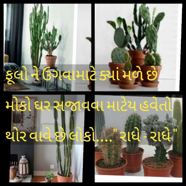 Gujarati Thought by Radhe Ahir : 111218713
