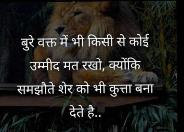 Gujarati Whatsapp-Status by sikandar : 111219073