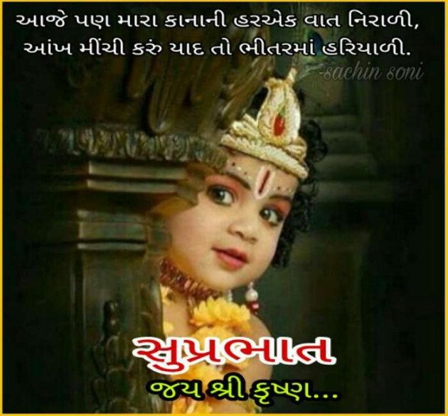 Gujarati Good Morning by Sachin Soni : 111220317