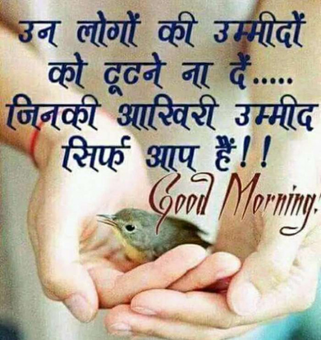 English Whatsapp-Status by Manoj Mehta : 111220404