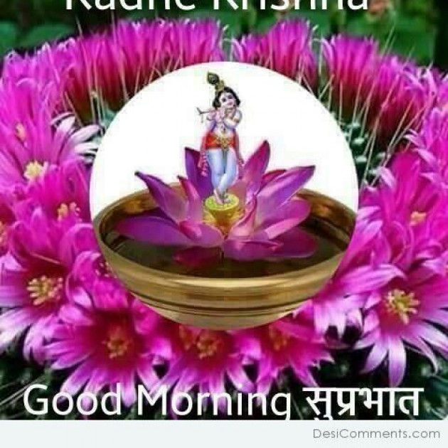 Hindi Good Morning by Vaghela Niya : 111220566