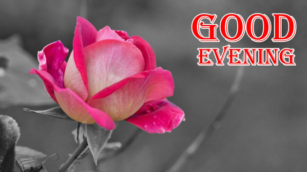 Hindi Good Evening by Vaghela Niya : 111220671