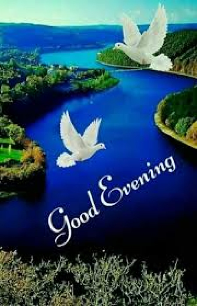 Hindi Good Evening by Vaghela Niya : 111220678