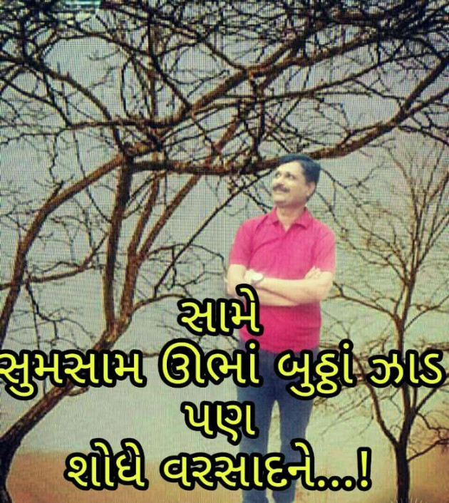 Gujarati Poem by SamiR : 111220770