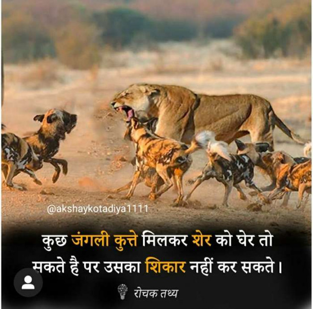 Hindi Blog by Akshay kotadiya : 111220937