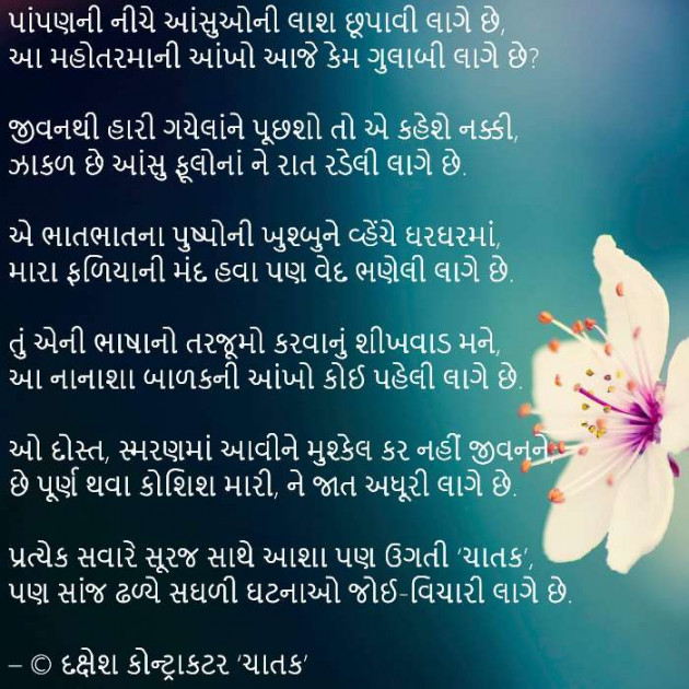 Gujarati Poem by Rinku Panchal : 111221362