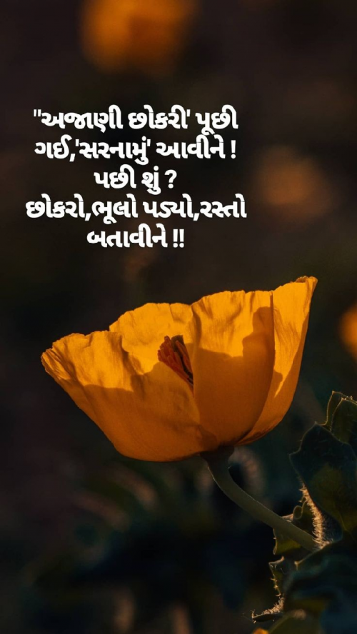 Post by Nikunj Patel on 22-Jul-2019 10:57pm