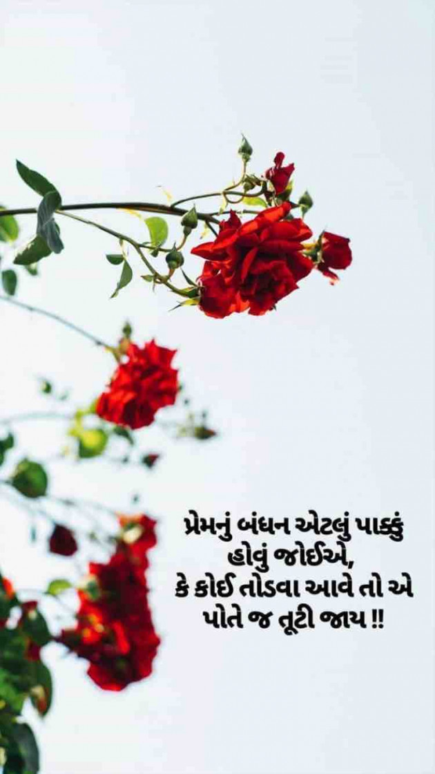Gujarati Romance by Taran_Goswami : 111222738