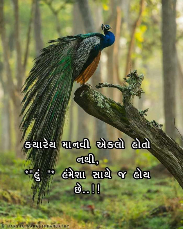 Gujarati Quotes by Mukesh Shah : 111222899