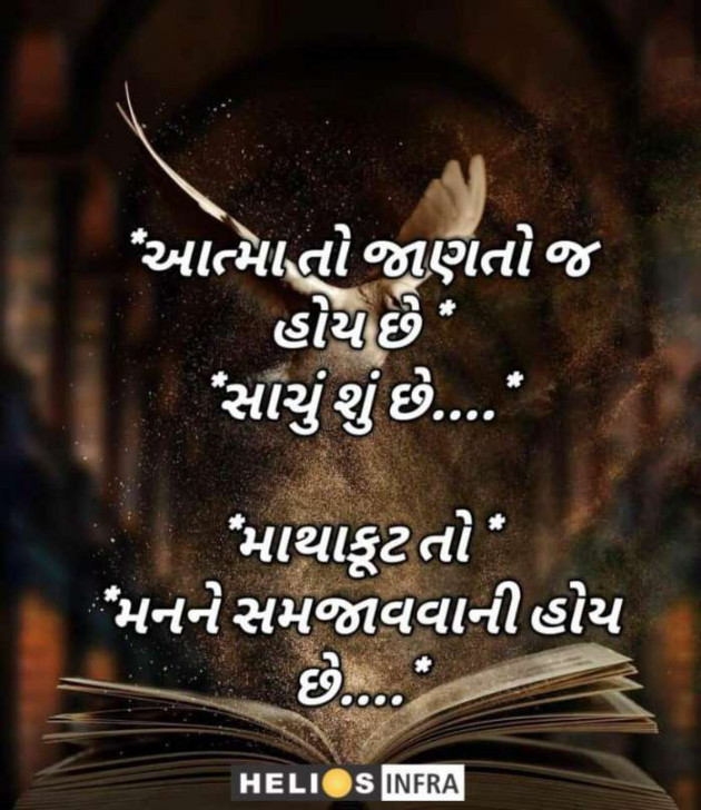 Gujarati Whatsapp-Status by sikandar : 111223094