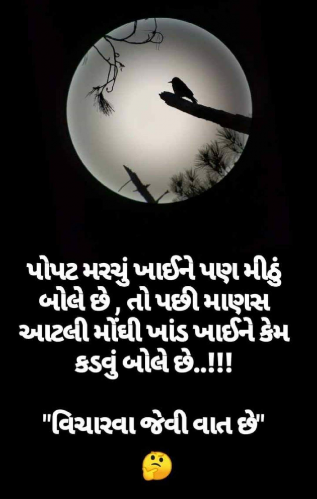 English Quotes by Ansh Patel : 111223780